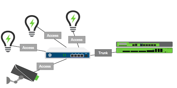 Access and Trunk in Virutal Local Area Networks