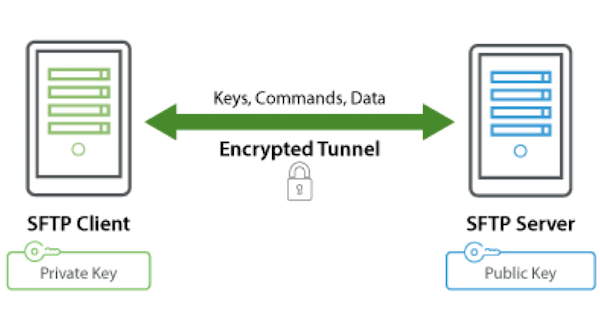 Deep dive into networking distech controls optigo networks transport and application layers