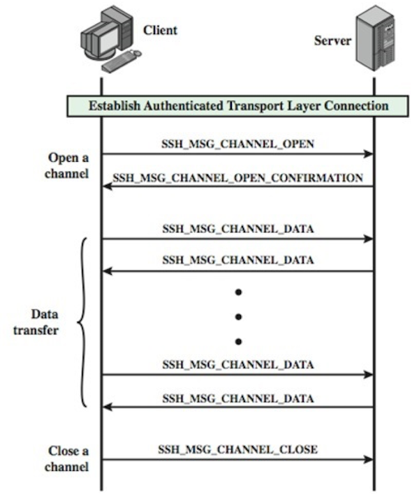 Deep dive into networking distech controls optigo networks transport and application layers